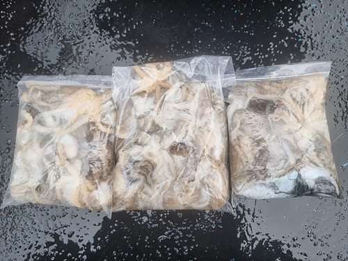 인천쭈꾸미낚시 (5).jpg