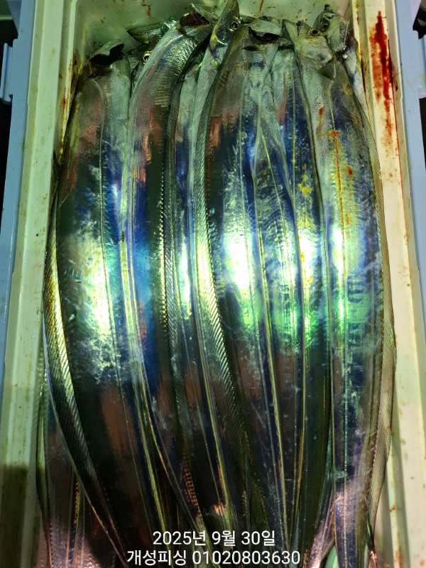 2708b278f1af23b76592413b58a338db.jpg