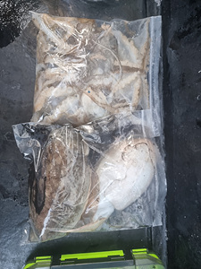 인천쭈꾸미낚시 (11).jpg