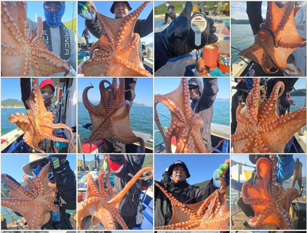 ♡ 여수 빅보스 ♡문어,갑오징어,쭈꾸미,타이라바(참돔)_사진_20251020_1.jpg