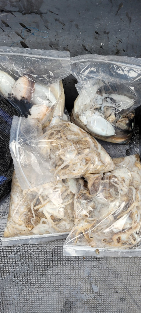 예지퀸호 농어외수질&어초낚시 경기인천권_사진_20251004_16.jpg