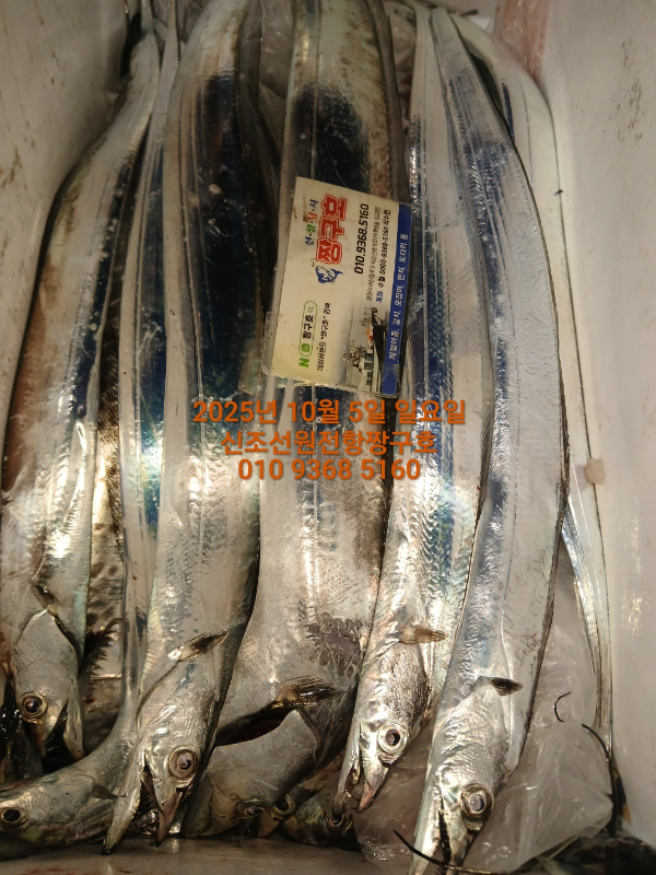 KakaoTalk_20251005_140543918_04.jpg