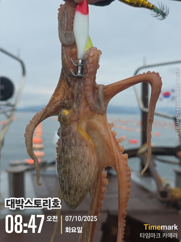2025-10-07 08.47.53__(대박스토리호).jpg