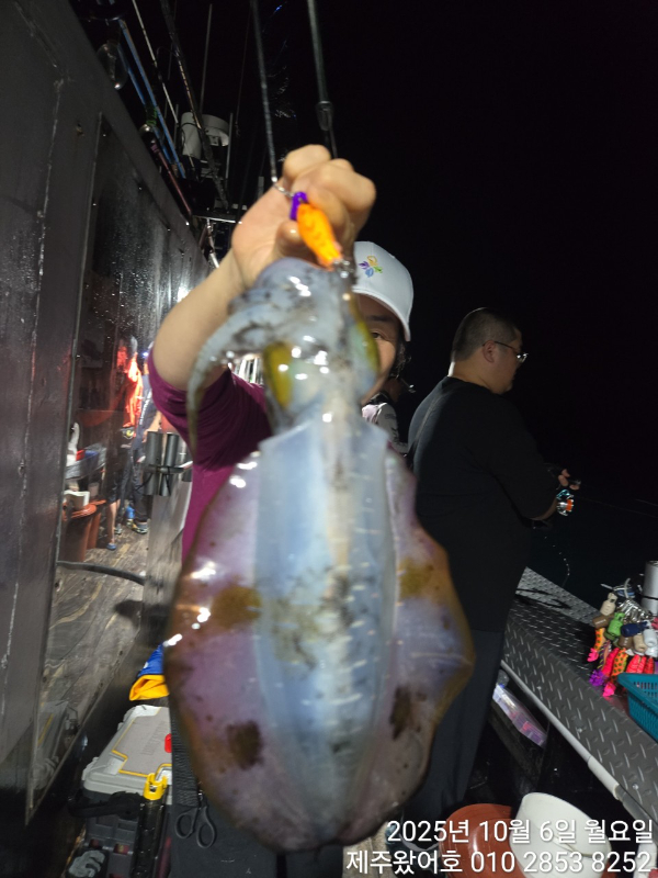 제주왔어호_사진_20251007_25.jpg