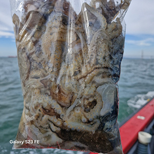 인천쭈꾸미낚시 (12).jpg