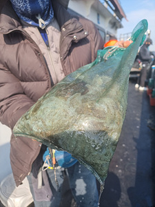 인천쭈꾸미낚시 (10).jpg