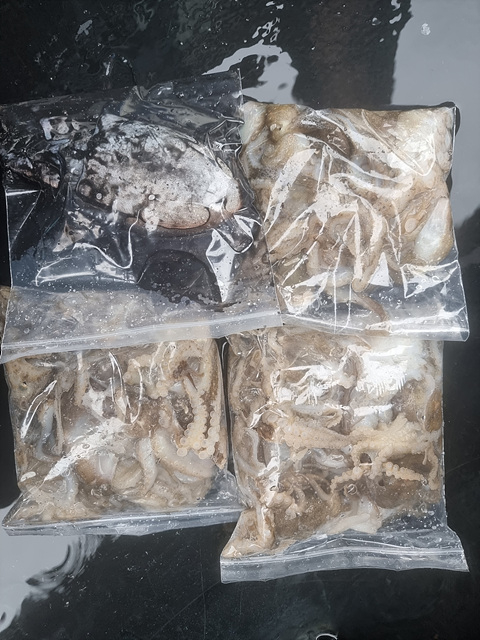 인천쭈꾸미낚시 (10).jpg