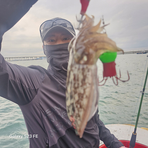 인천쭈꾸미낚시 (9).jpg