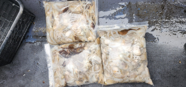 예지퀸호 농어외수질&어초낚시 경기인천권_사진_20251002_7.jpg