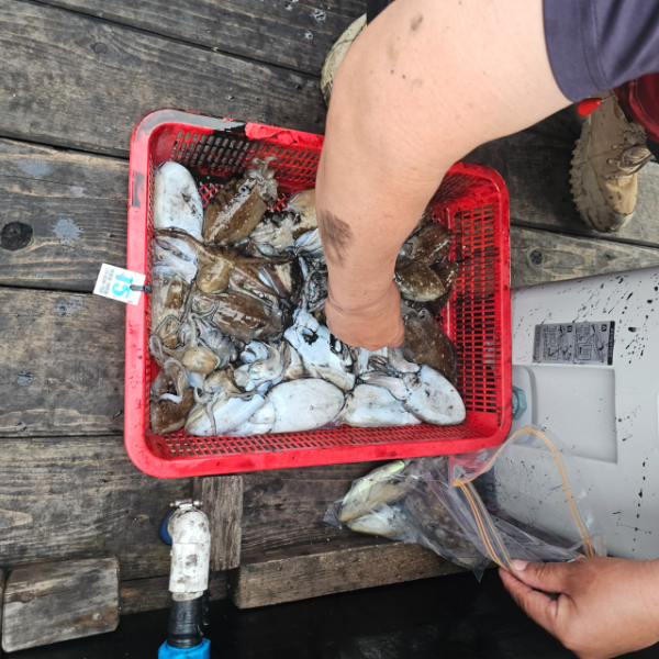 마검포 대한호(VIP)_사진_20251009_4.jpg