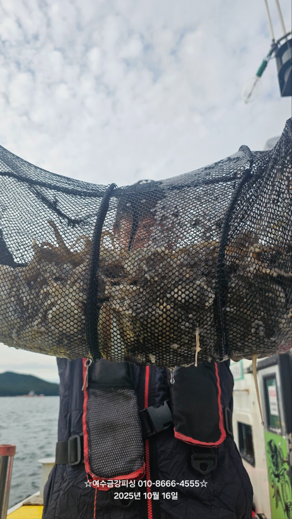 여수금강피싱_사진_20251016_2.jpg