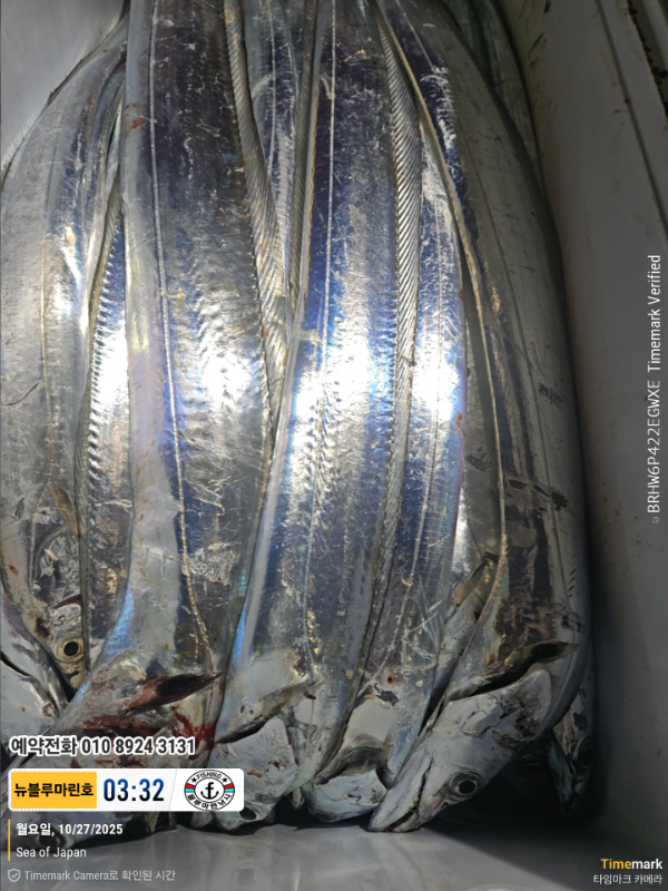 2025-10-27 03.32.59_Japan_(제목-뉴블루마린호)_(예약전화 010 8924 3131).jpg