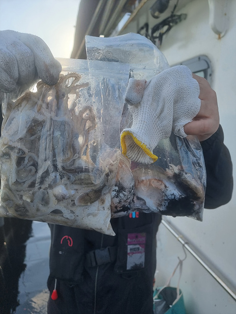 인천쭈꾸미낚시 (3).jpg