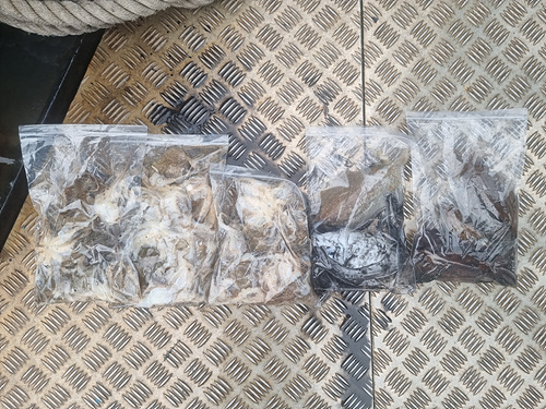 인천쭈꾸미낚시 (10).jpg