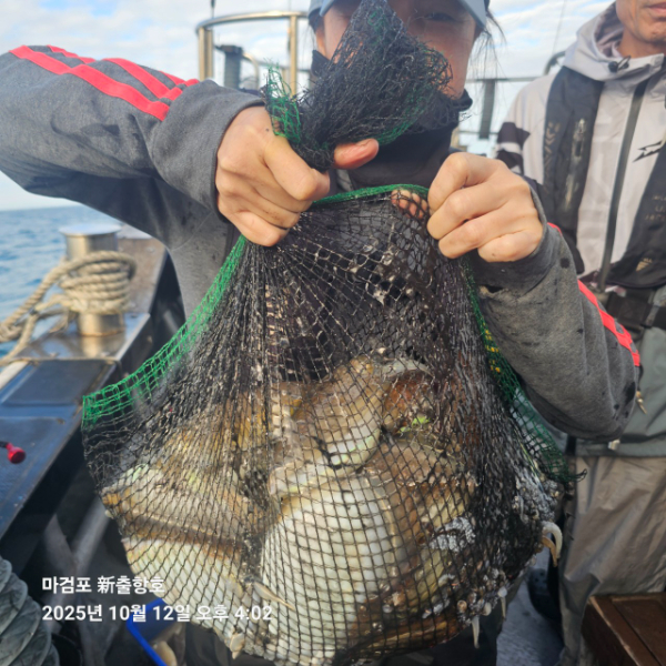 ꫛꫀꪝ✧‧˚ 태안 마검포 新출항호 .• _˚☀₊_사진_20251013_4.jpg