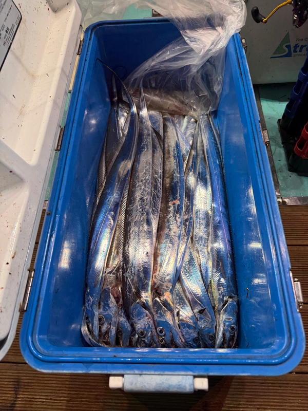 제주 쏘니호_사진_20251007_10.jpg