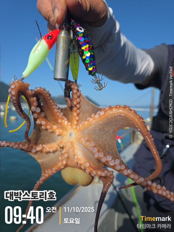 2025-10-11 09.40.36__(대박스토리호).jpg