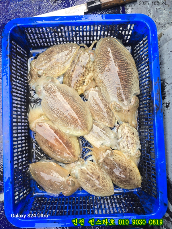 10월24 썬 (13).jpg