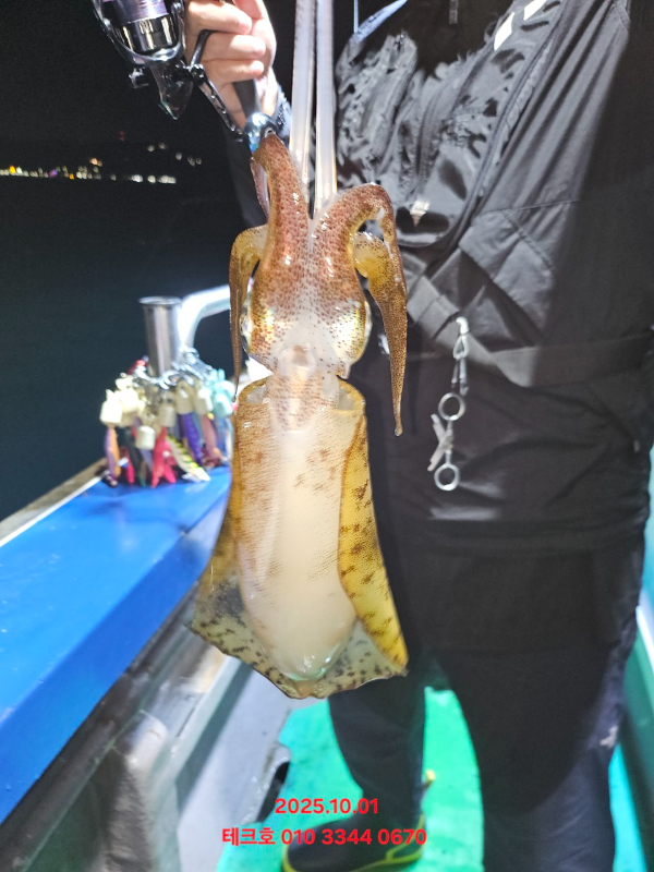KakaoTalk_20251002_063256501.jpg