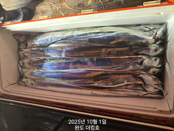 1000048851.jpg