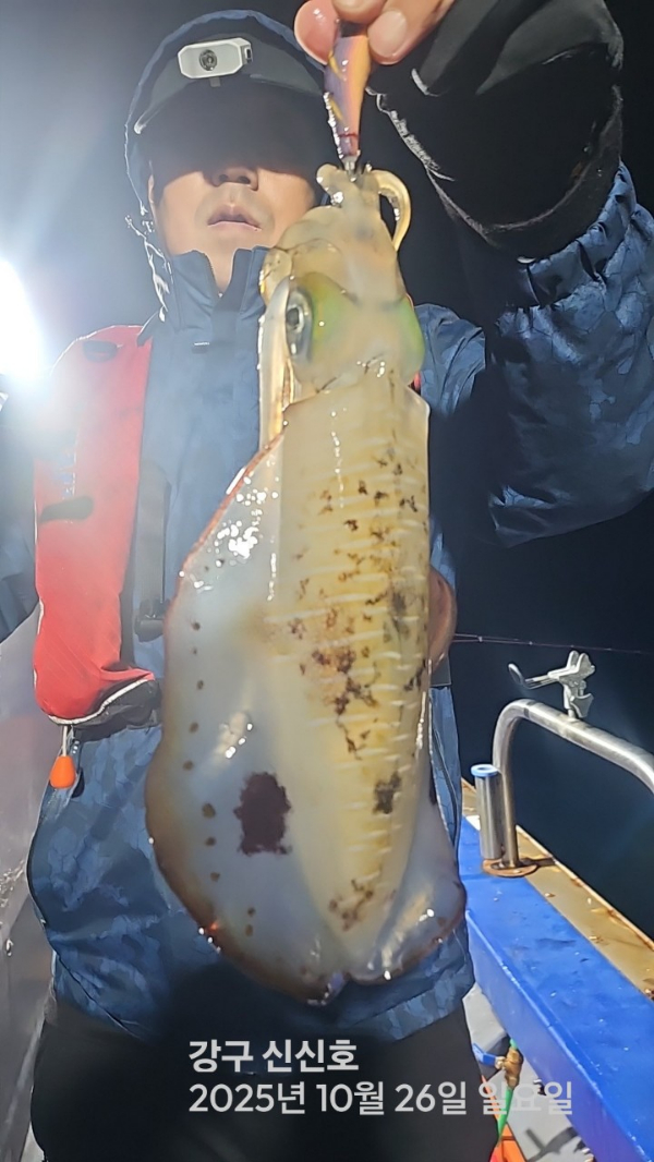 신신낚시 강구점 신신호_사진_20251027_9.jpg