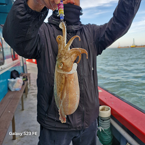 인천쭈꾸미낚시 (7).jpg