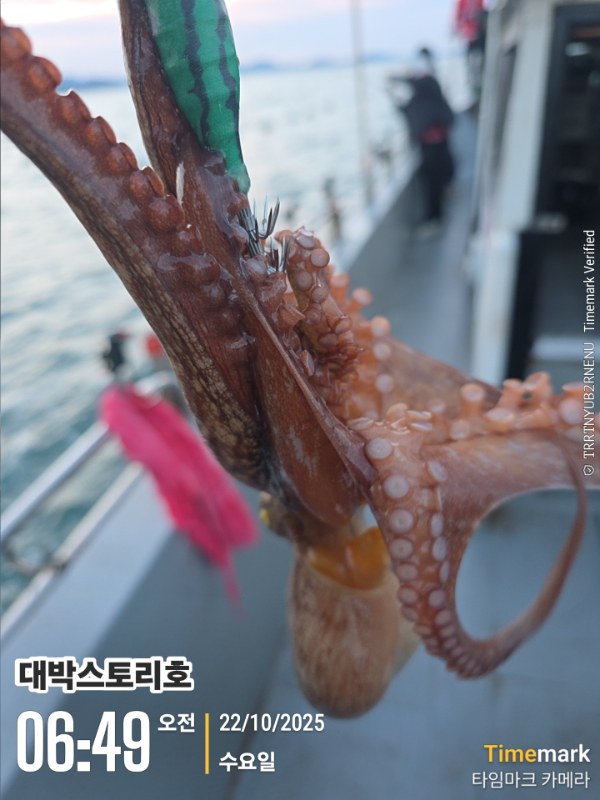 2025-10-22 06.49.10__(대박스토리호).jpg