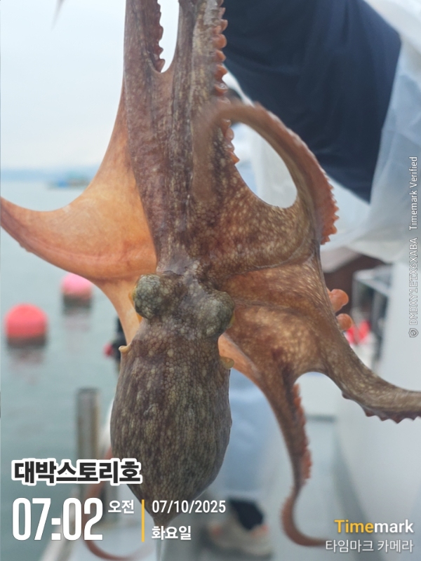 2025-10-07 07.03.00__(대박스토리호).jpg