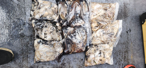 예지퀸호 농어외수질&어초낚시 경기인천권_사진_20250930_10.jpg