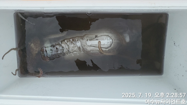 1752904922587-15.jpg
