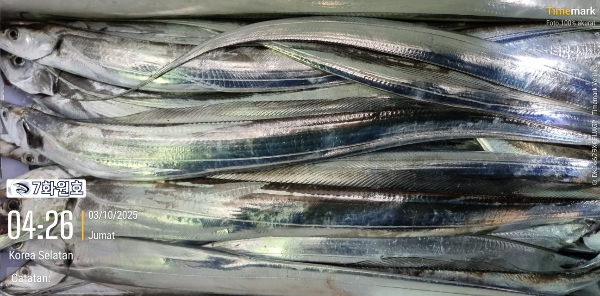 0EBC50D9-8E17-4C2E-AD9E-98AAD1EE5B7B.jpeg