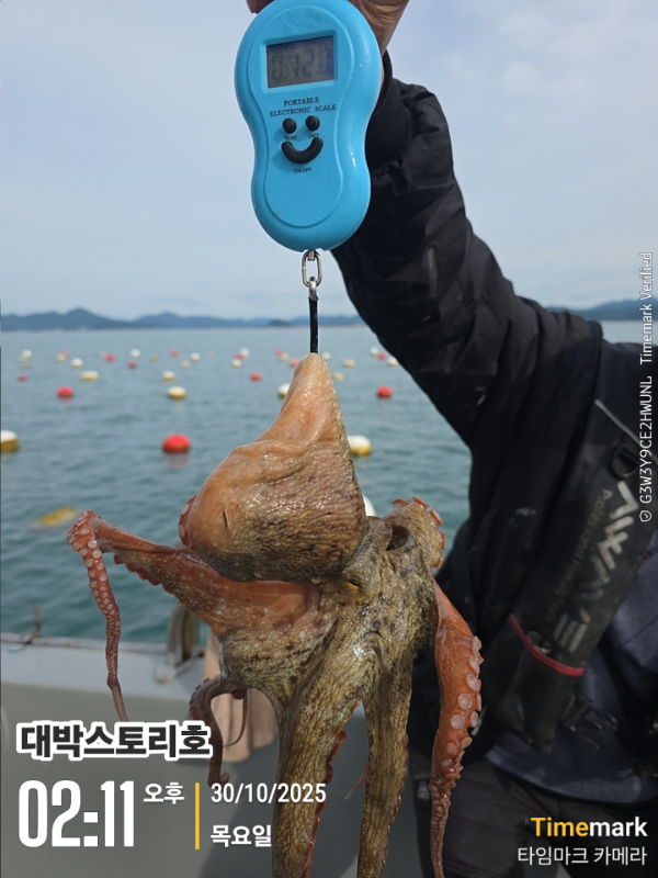 2025-10-30 02.11.28__(대박스토리호).jpg