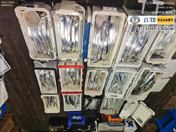 2025-10-26 03.17.26_Japan_(제목-뉴블루마린호)_(예약전화 010 8924 3131).jpg