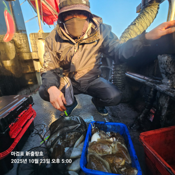 ꫛꫀꪝ✧‧˚ 태안 마검포 新출항호 .• _˚☀₊_사진_20251023_1.jpg