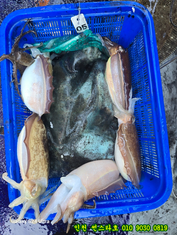 10월23 썬 (16).jpg