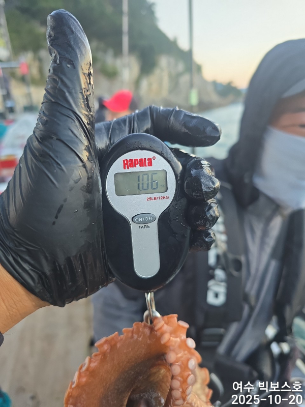 ♡ 여수 빅보스 ♡문어,갑오징어,쭈꾸미,타이라바(참돔)_사진_20251020_15.jpg
