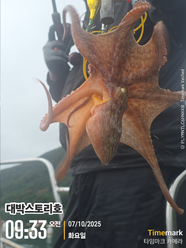 2025-10-07 09.33.20__(대박스토리호).jpg