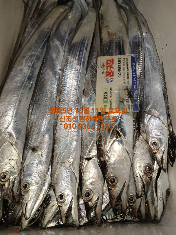 KakaoTalk_20251011_042648841_06.jpg