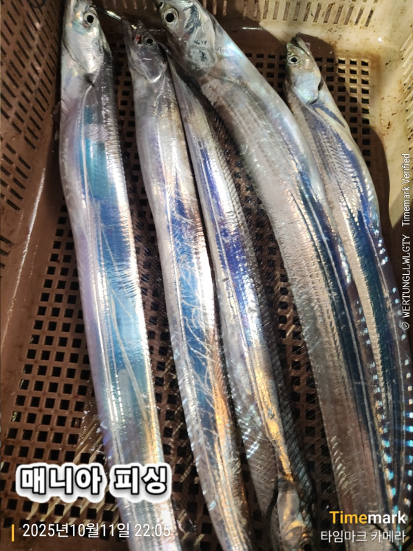 KakaoTalk_20251012_070613870_02.jpg