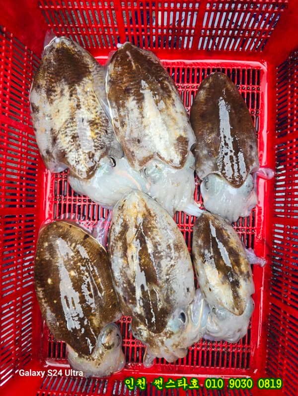 10월26 썬 (11).jpg