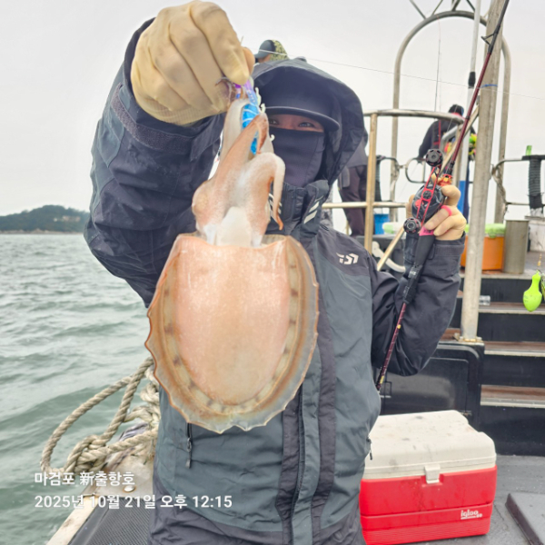ꫛꫀꪝ✧‧˚ 태안 마검포 新출항호 .• _˚☀₊_사진_20251021_3.jpg
