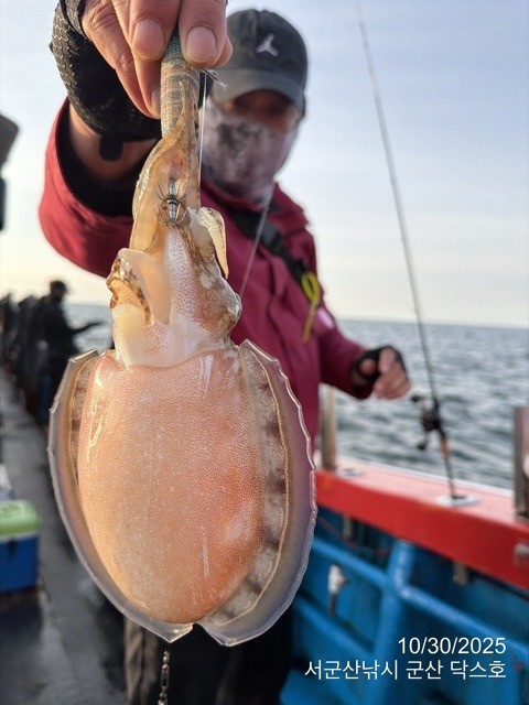 군산 선상낚시, 바다낚시 출조 전문 ☆서군산낚시☆_사진_20251030_17.jpg