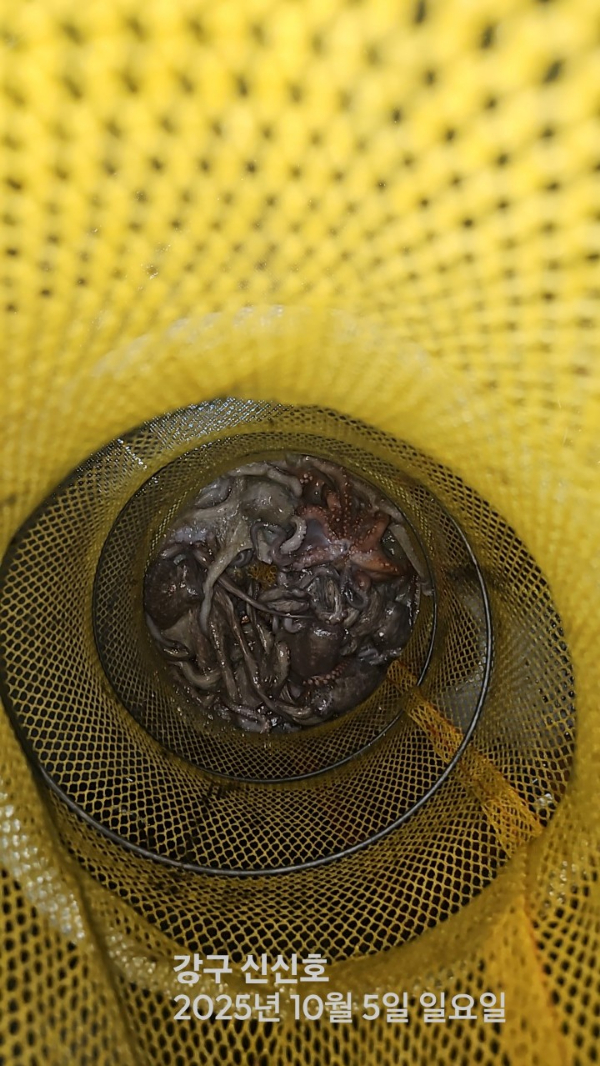 신신낚시 강구점 신신호_사진_20251005_9.jpg