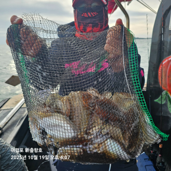 ꫛꫀꪝ✧‧˚ 태안 마검포 新출항호 .• _˚☀₊_사진_20251019_4.jpg