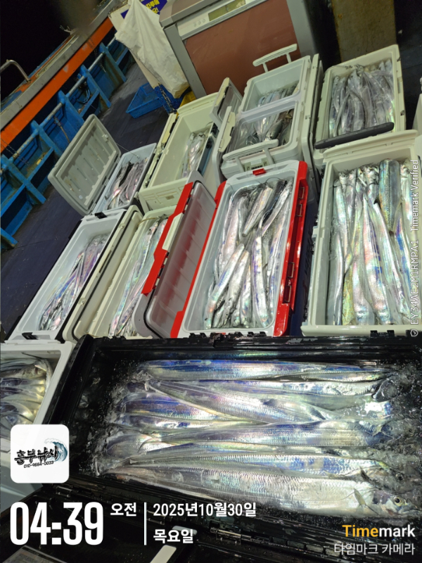 2025-10-30 04.39.01_.jpg