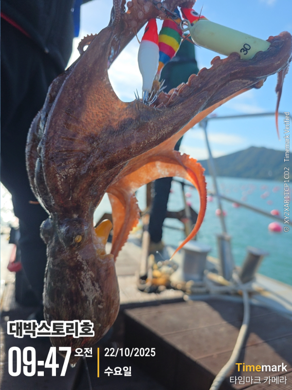 2025-10-22 09.47.16__(대박스토리호).jpg