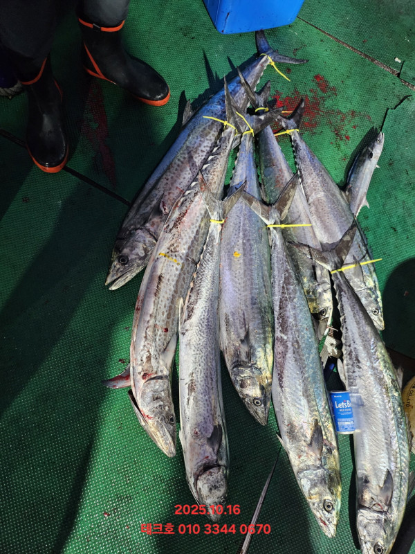 KakaoTalk_20251016_181713547 (1).jpg