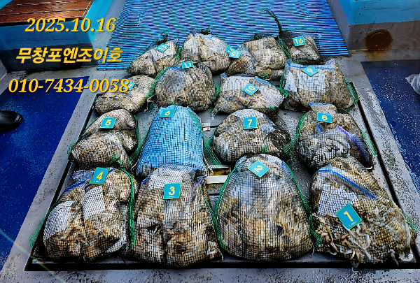 37ddc75fc45a346ace5476179714ebcf.jpg