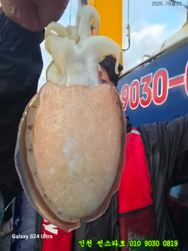 10월23 썬 (17).jpg