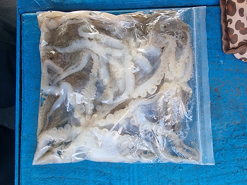 인천쭈꾸미낚시 (3).jpg